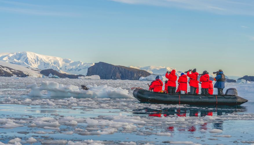 Citizen science in Antarctica